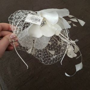 Bridal veil headpiece